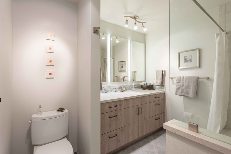 Contemporary Baths Gallery project photo 22