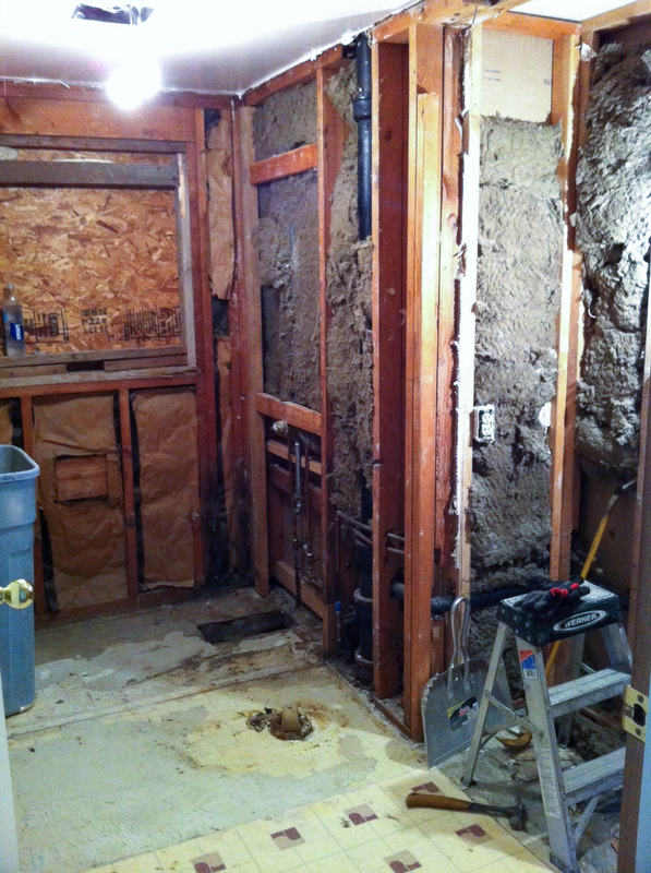 Richland Ranch House Bath in-progress photo 1